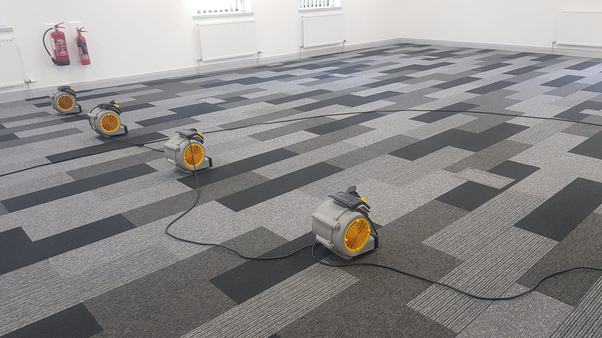 Carpet Drying