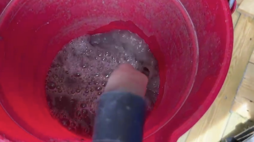Carpet Cleaning